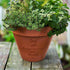 Father's Day Personalised Plant Pot